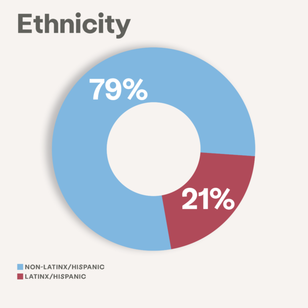 ethnicity impact image